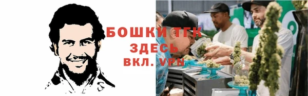 шишки Волоколамск